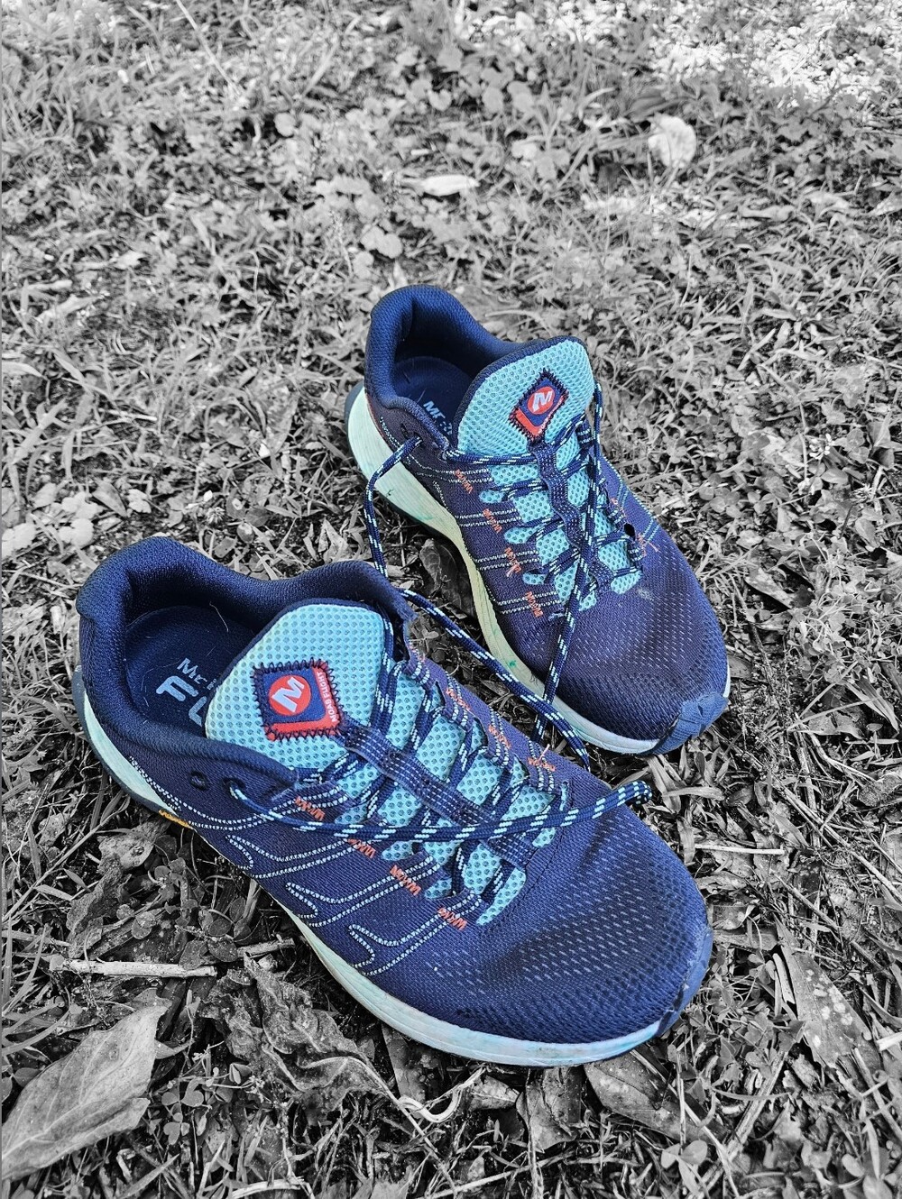 Merrell Navy and Aqua Trail Running Shoes